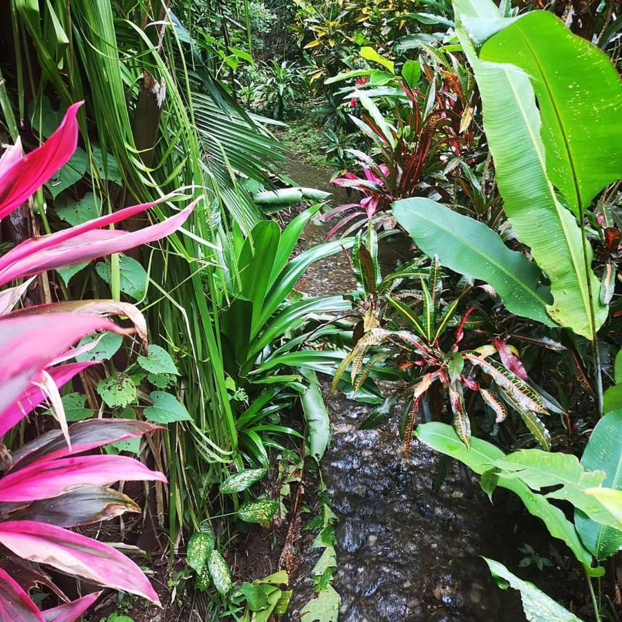 Hotel Belvedere Playa Samara Costa Rica Eksteriør billede