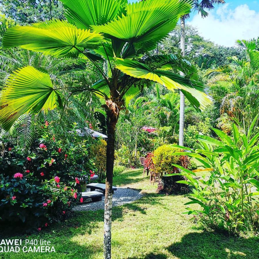 Hotel Belvedere Playa Samara Costa Rica Eksteriør billede