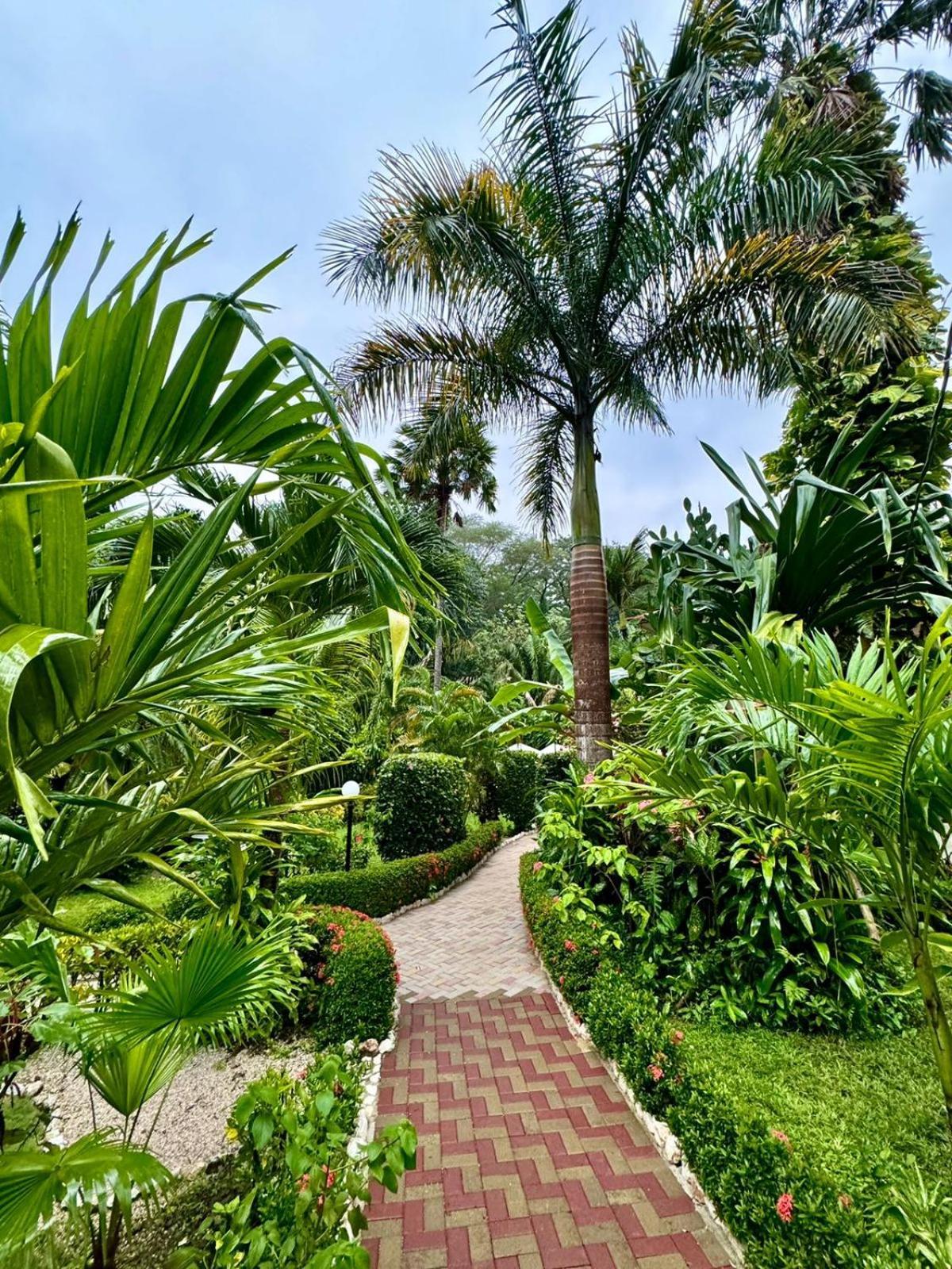 Hotel Belvedere Playa Samara Costa Rica Eksteriør billede